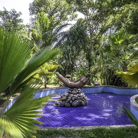 Sitio Oasis-3